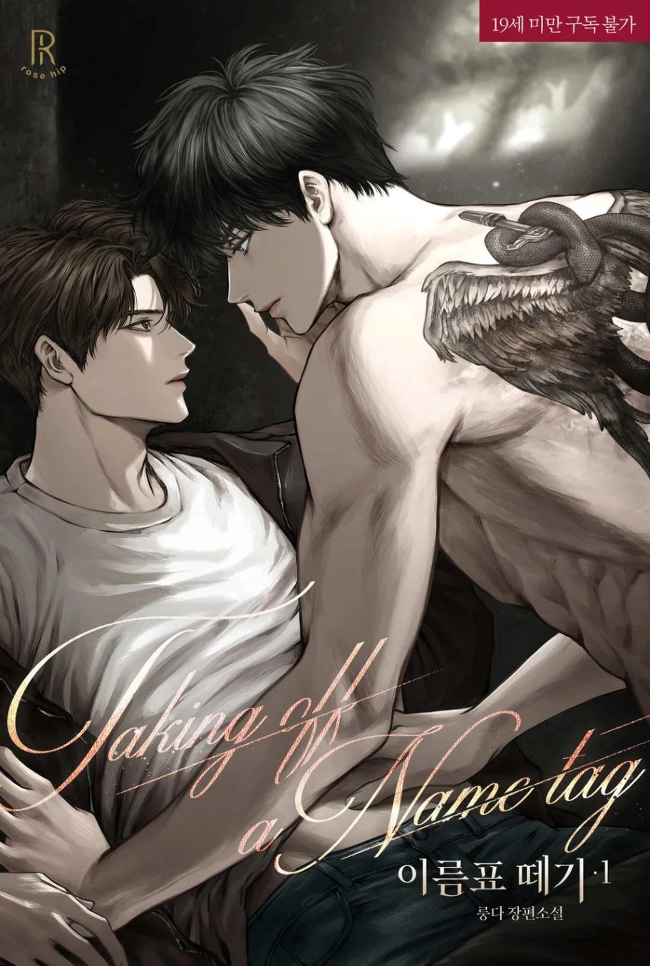 Novel cover image
