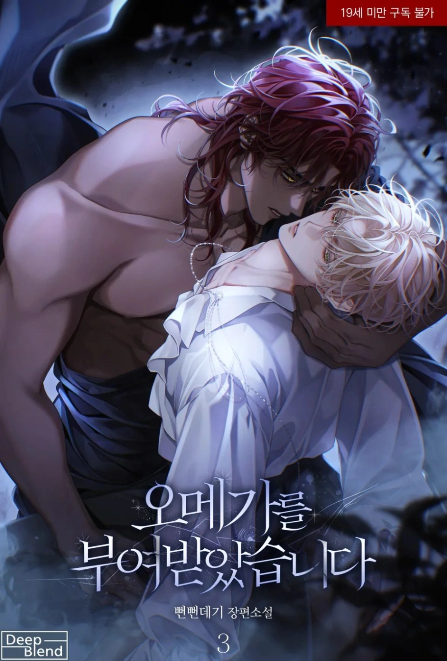 Novel cover image