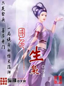 Novel cover image