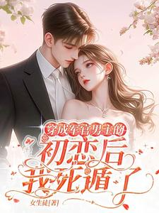 Novel cover image