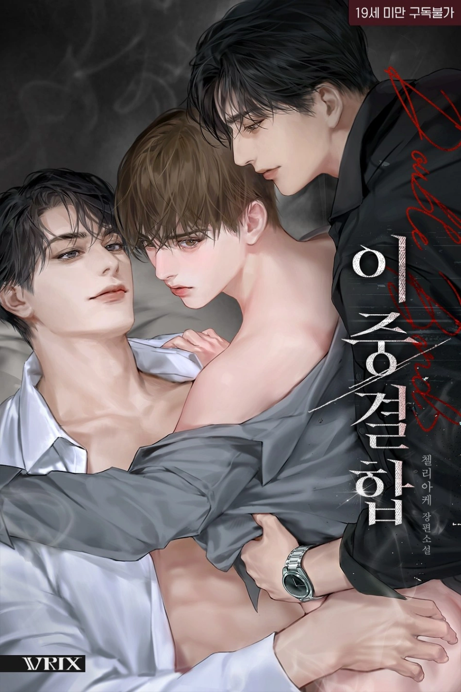 Novel cover image