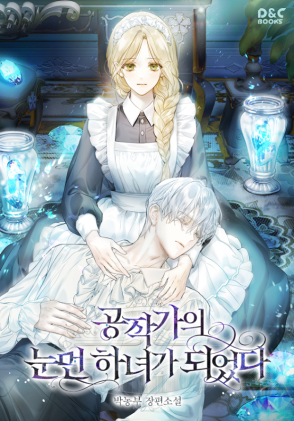 Novel cover image