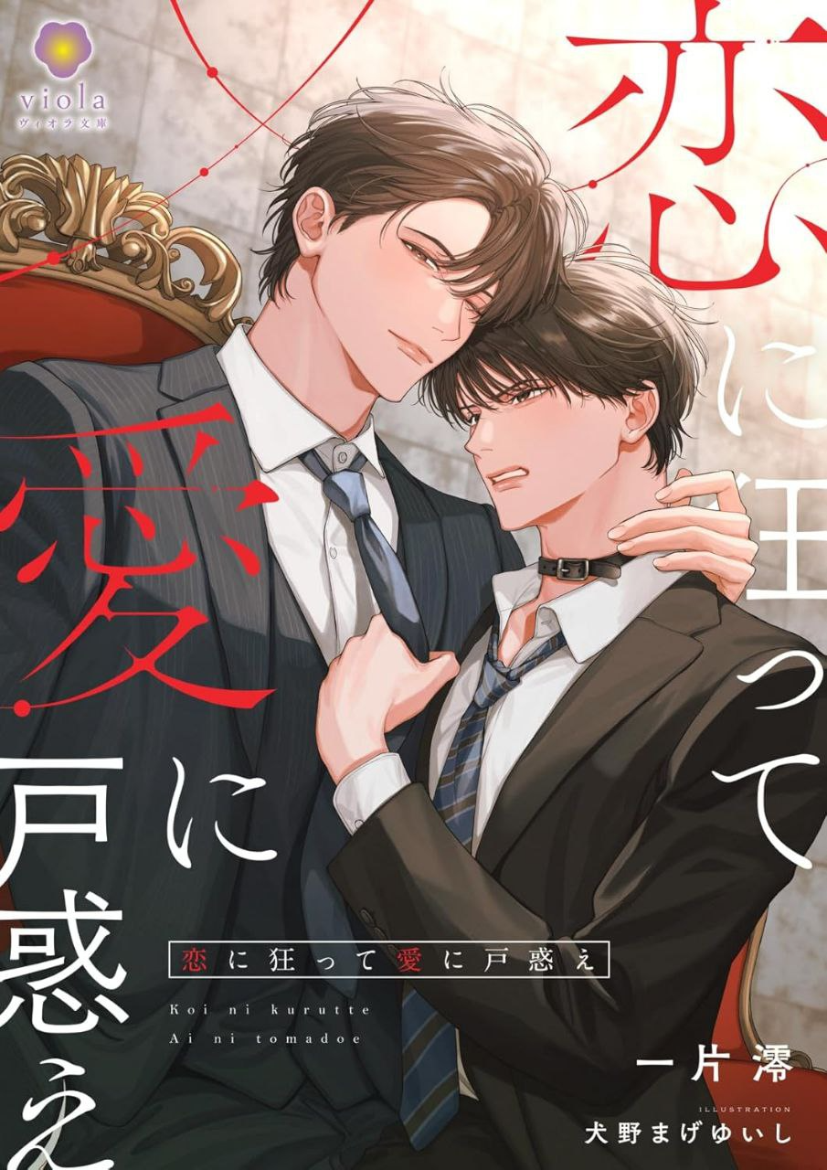 Novel cover image