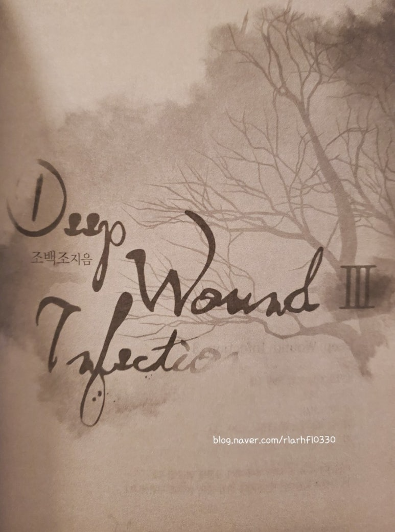 Novel cover image