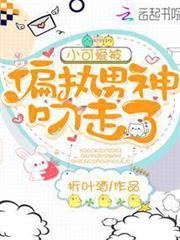 Novel cover image