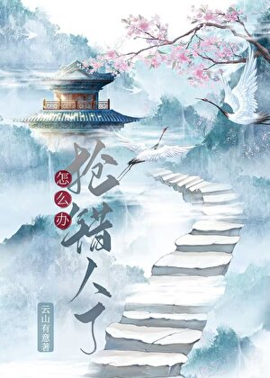 Novel cover image