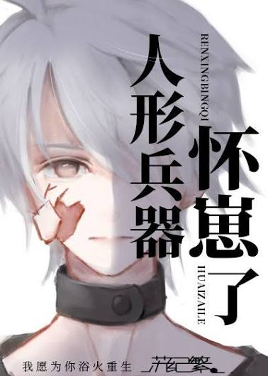 Novel cover image