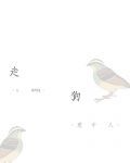 Novel cover image