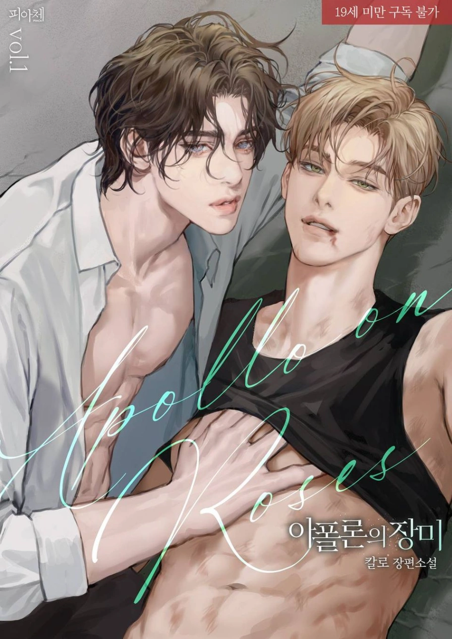 Novel cover image