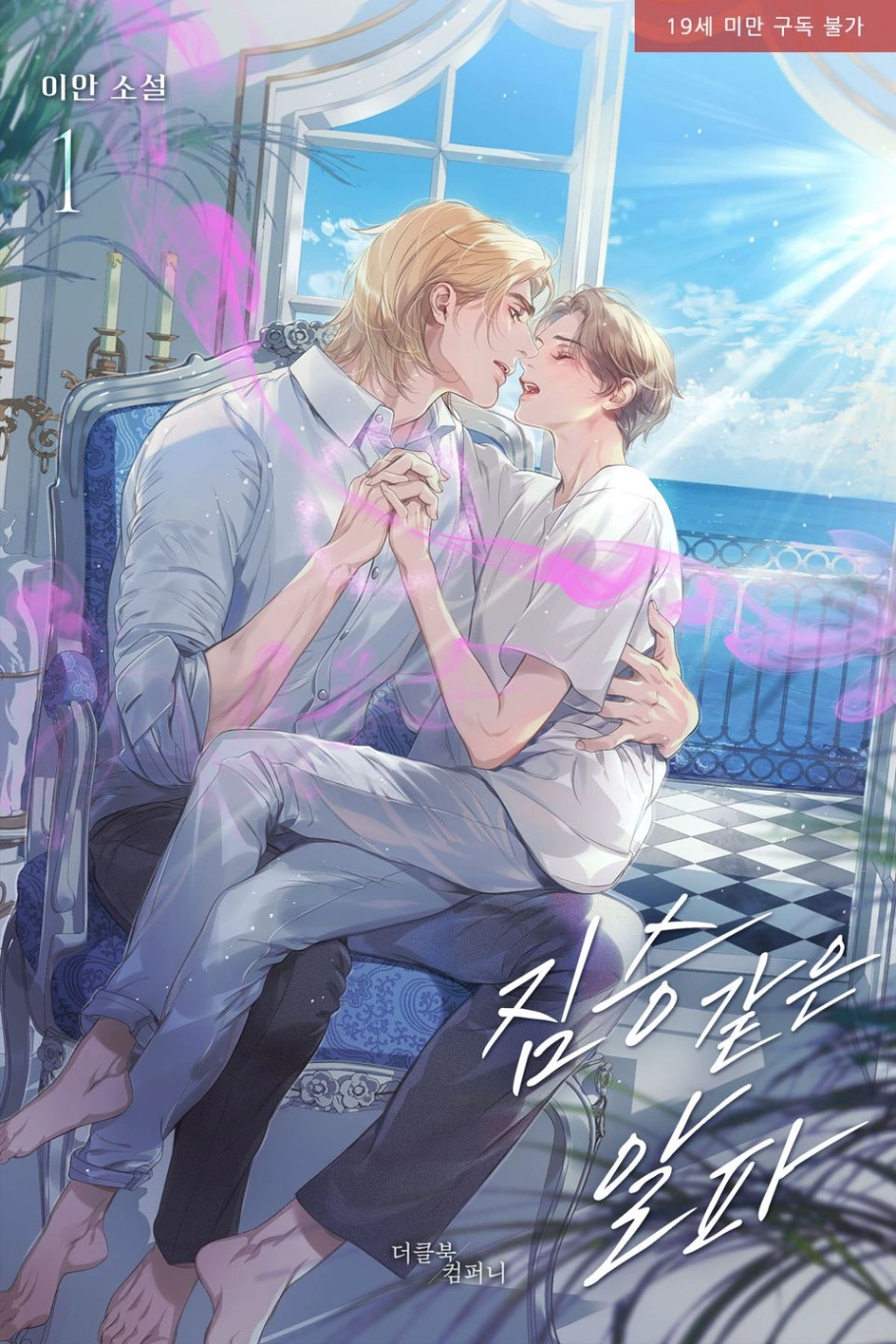 Novel cover image
