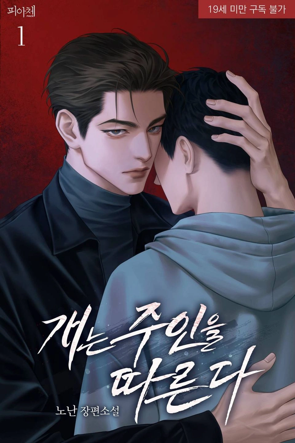 Novel cover image