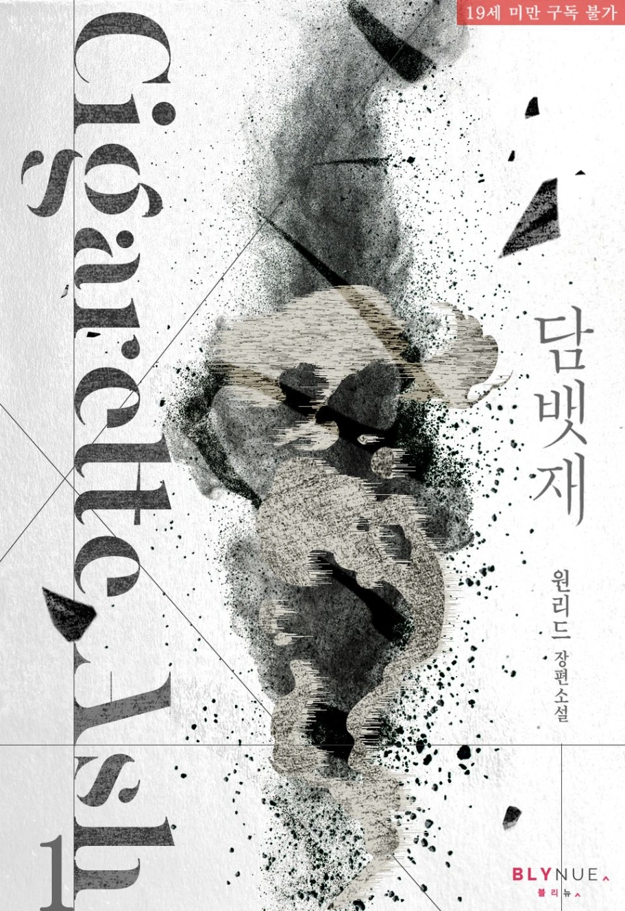 Novel cover image