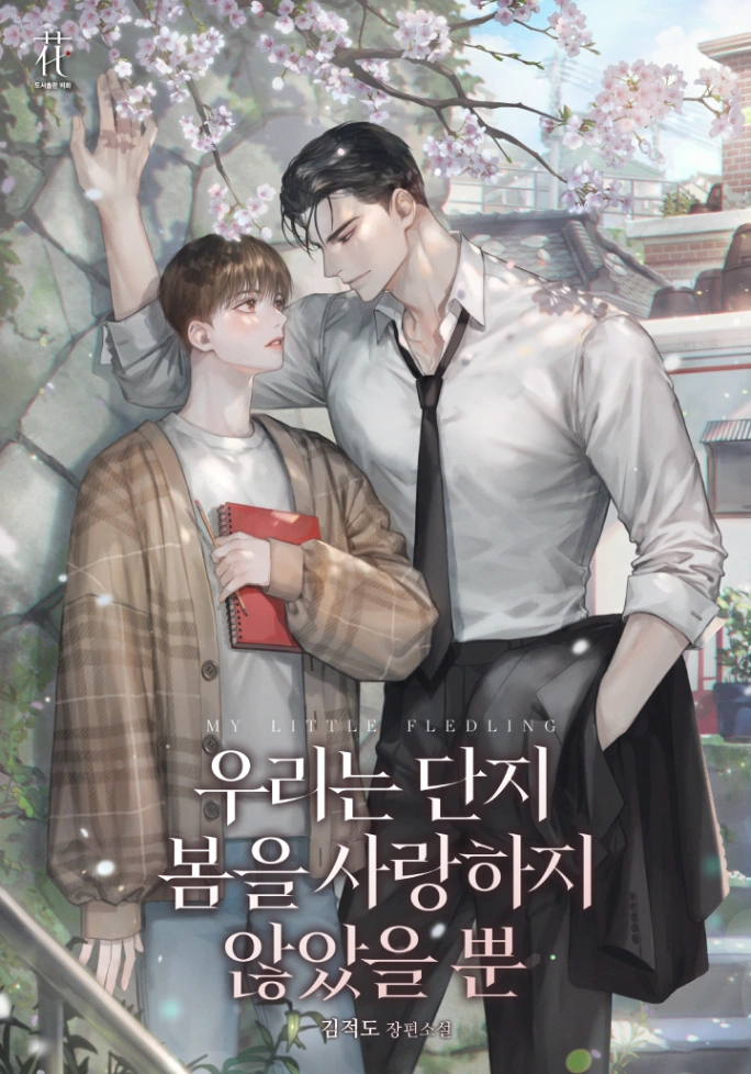 Novel cover image