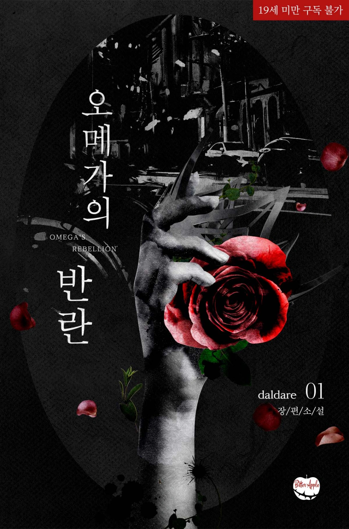Novel cover image
