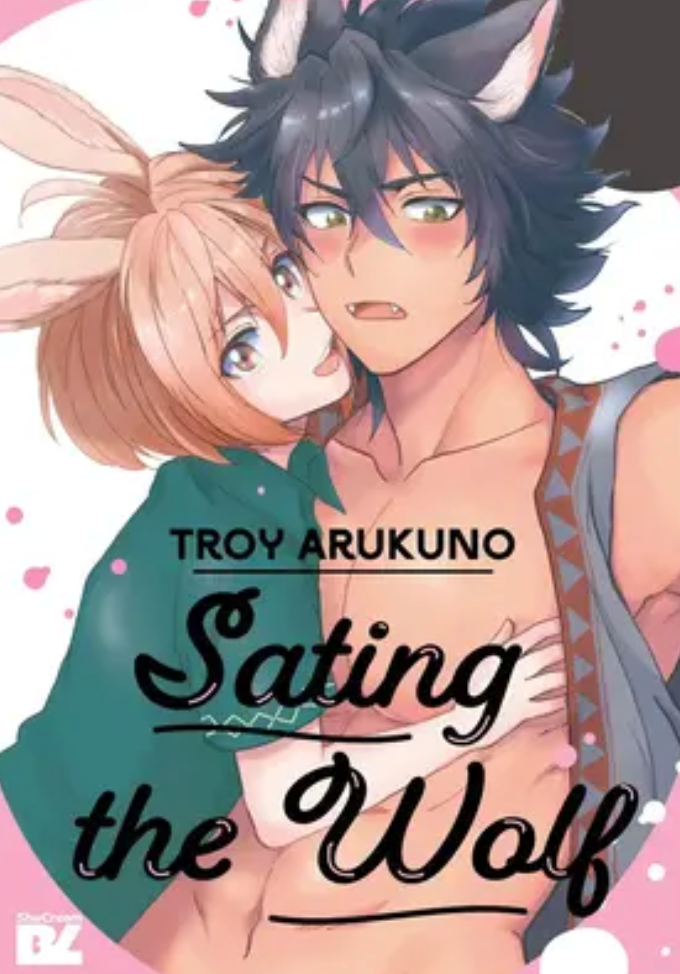 Novel cover image