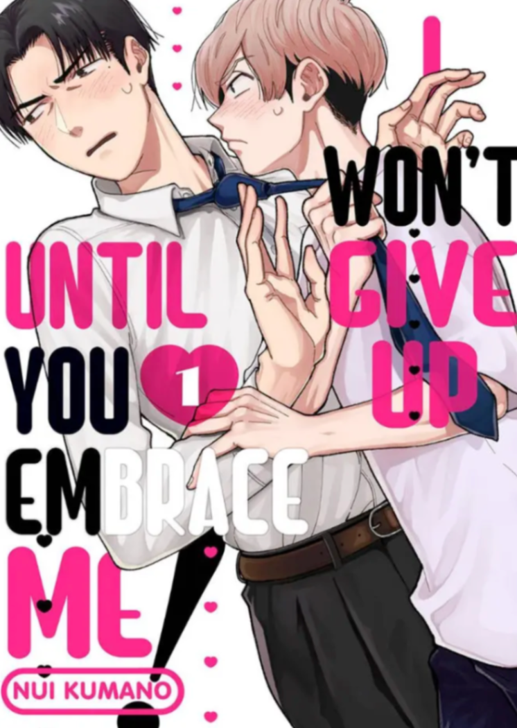 Novel cover image