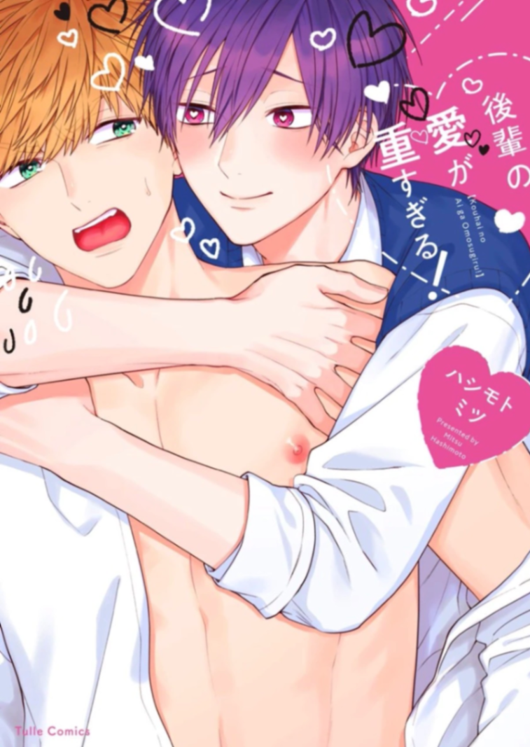 Novel cover image