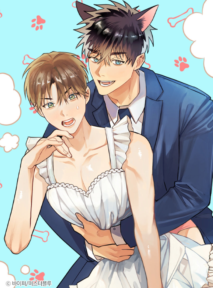Novel cover image