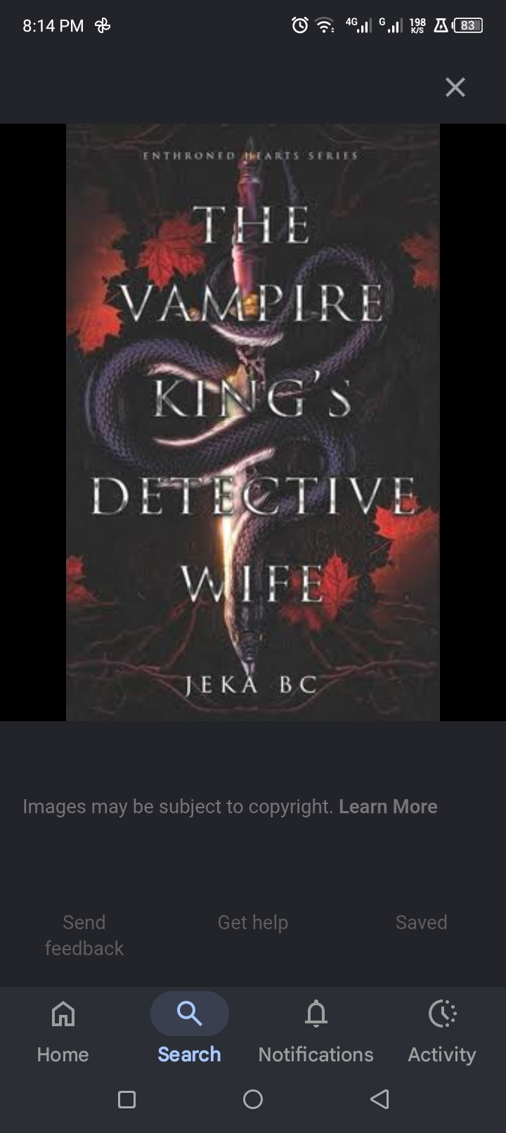 Novel cover image
