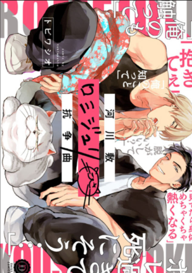 Novel cover image