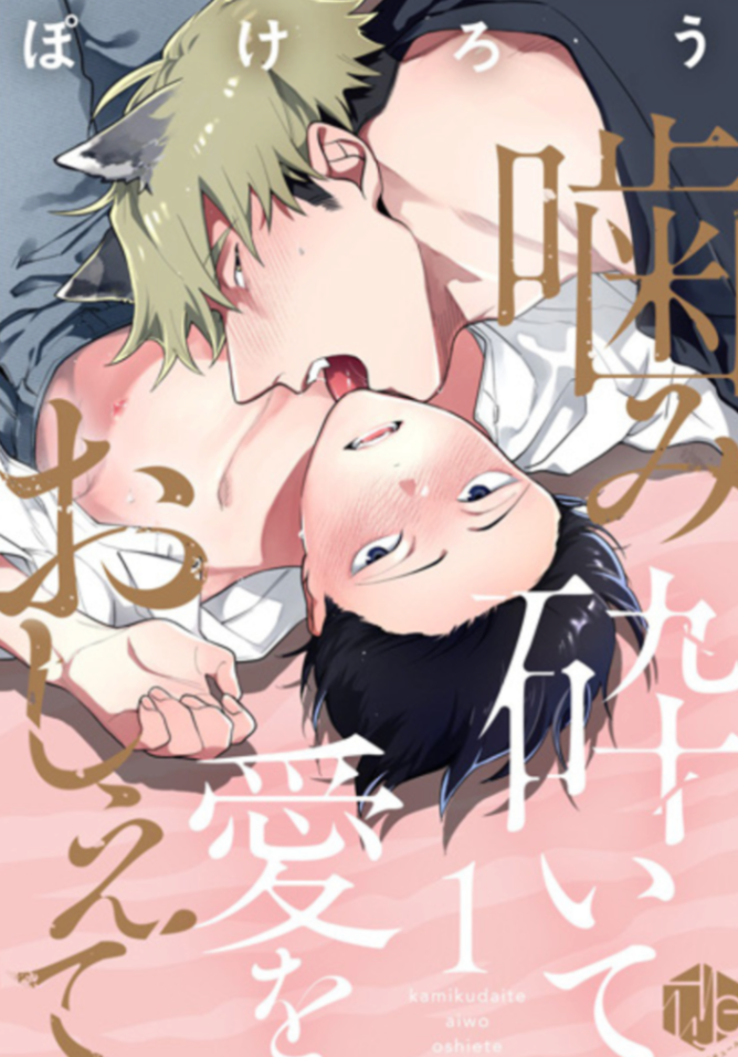 Novel cover image