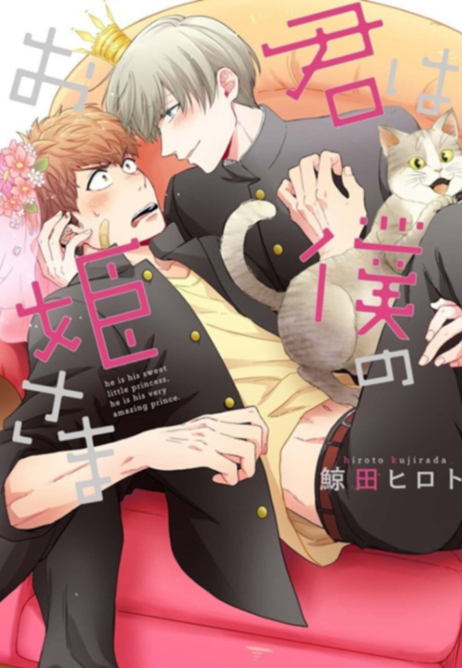 Novel cover image