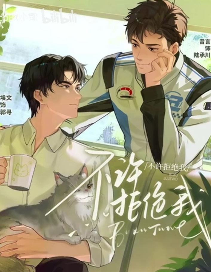 Novel cover image