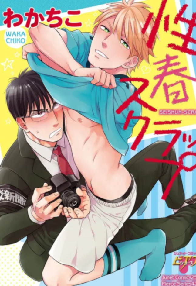 Novel cover image