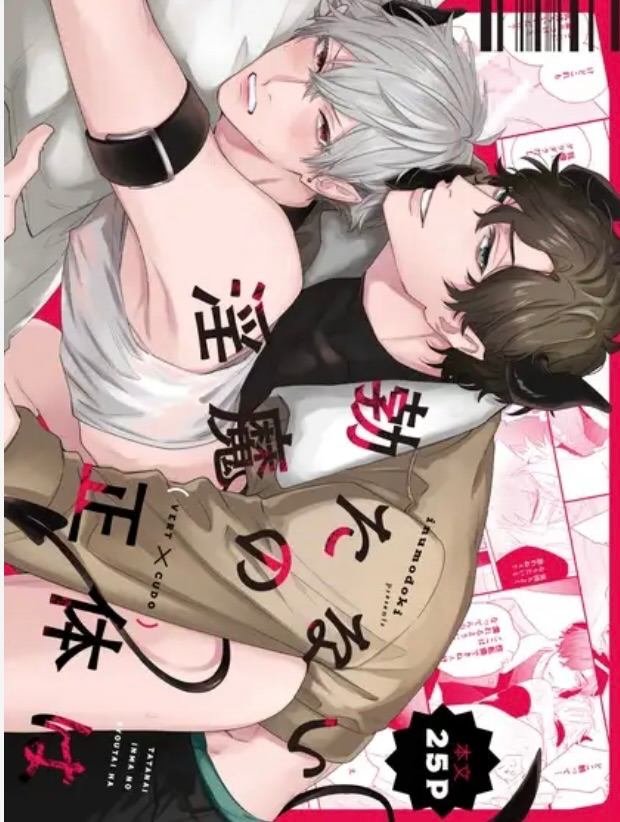 Novel cover image