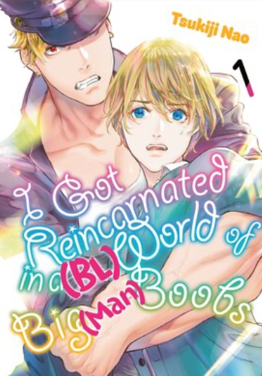 Novel cover image