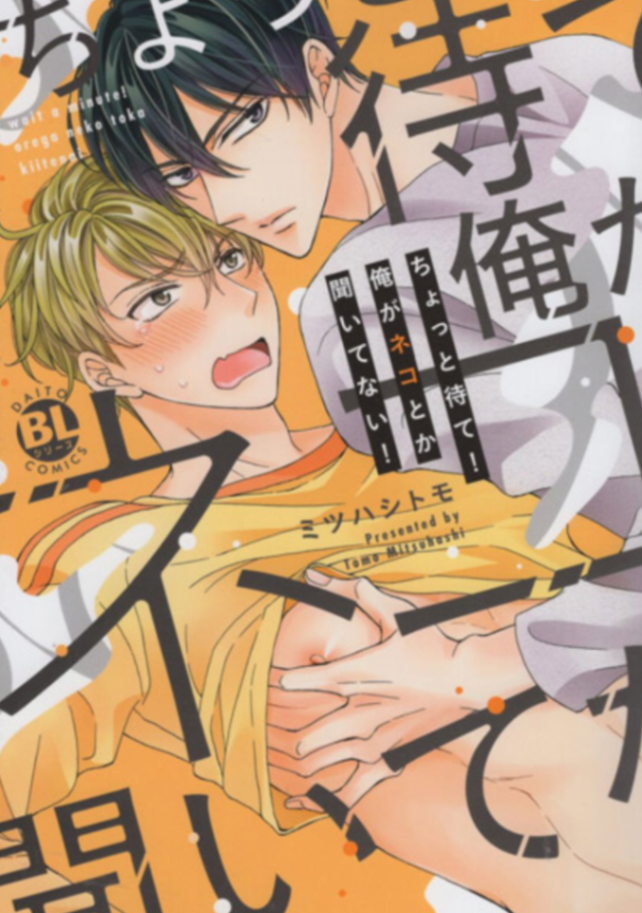 Novel cover image