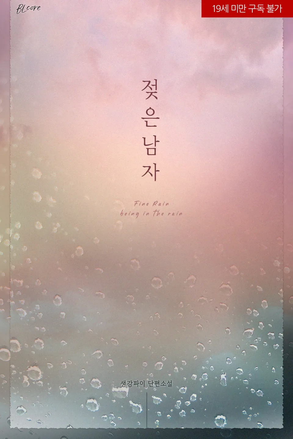 Novel cover image