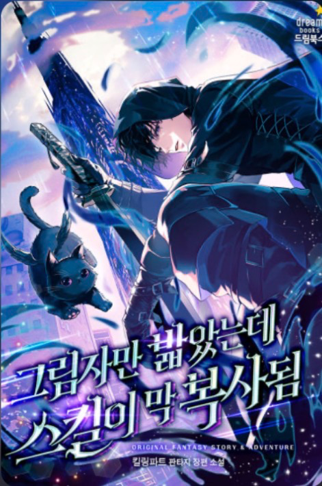 Novel cover image