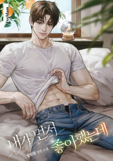 Novel cover image