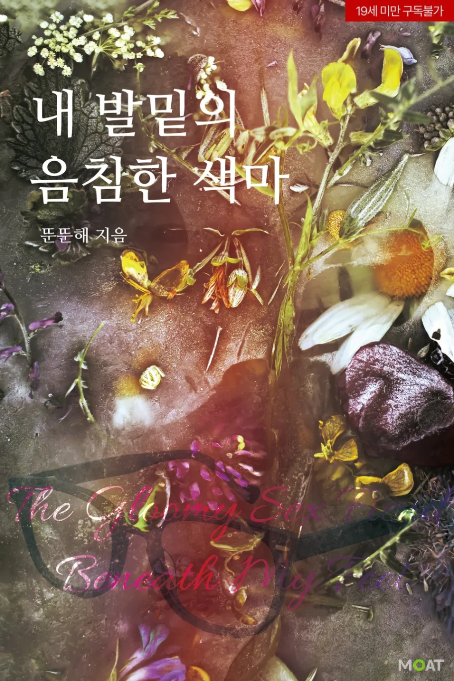 Novel cover image