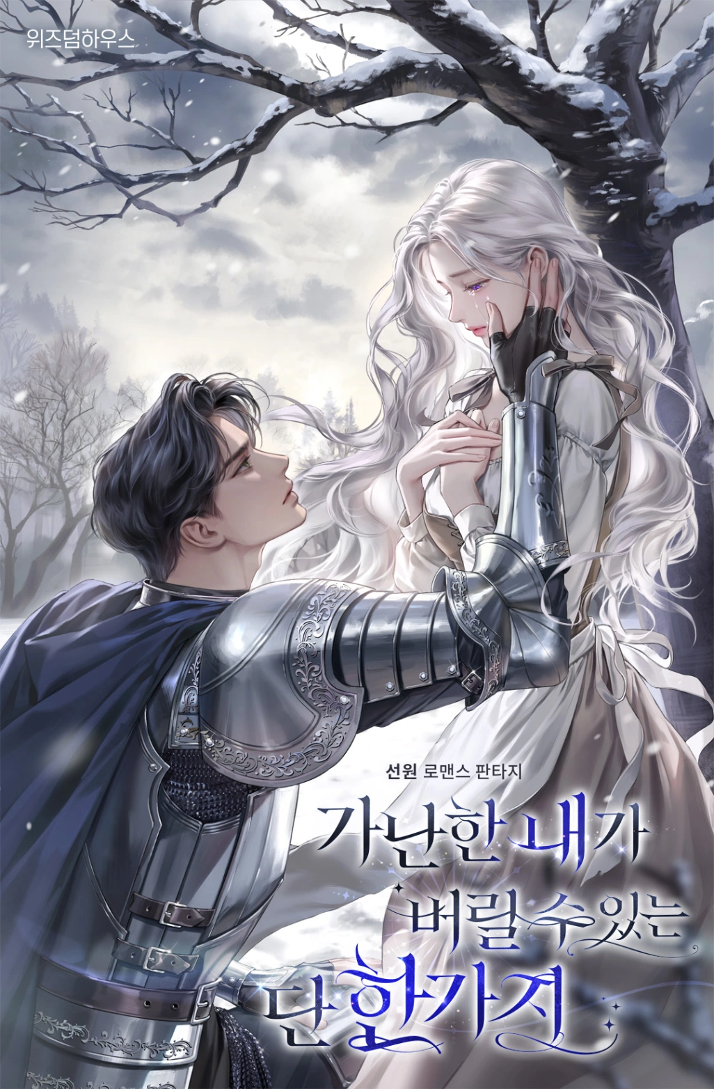 Novel cover image