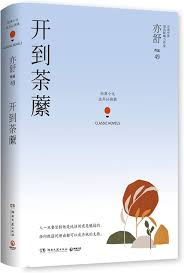 Novel cover image
