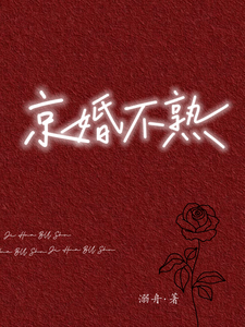 Novel cover image