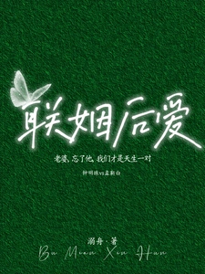 Novel cover image
