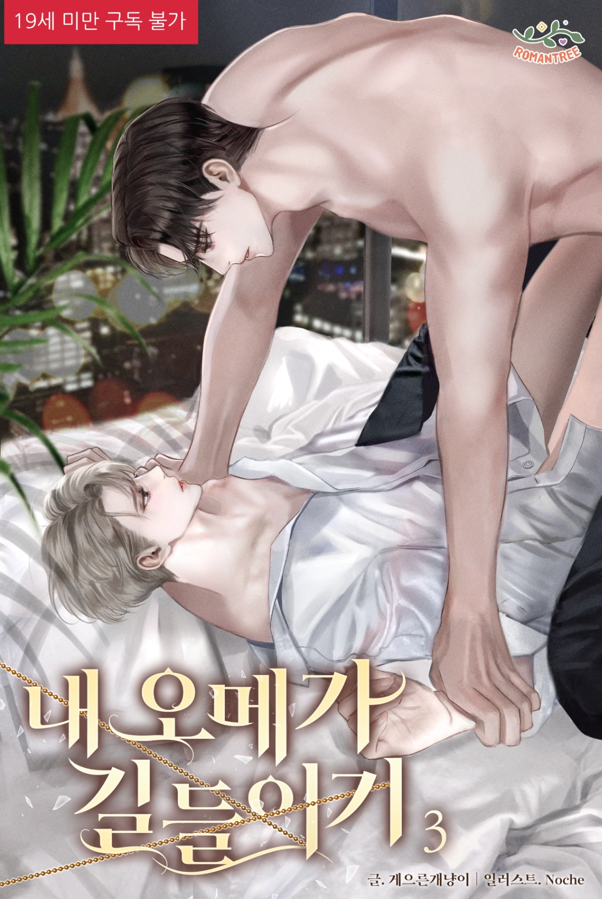 Novel cover image