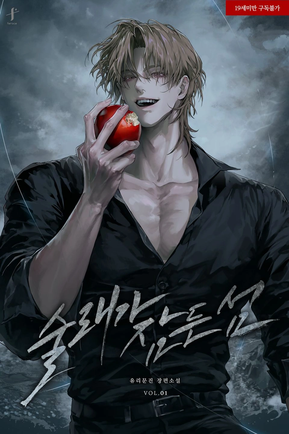 Novel cover image