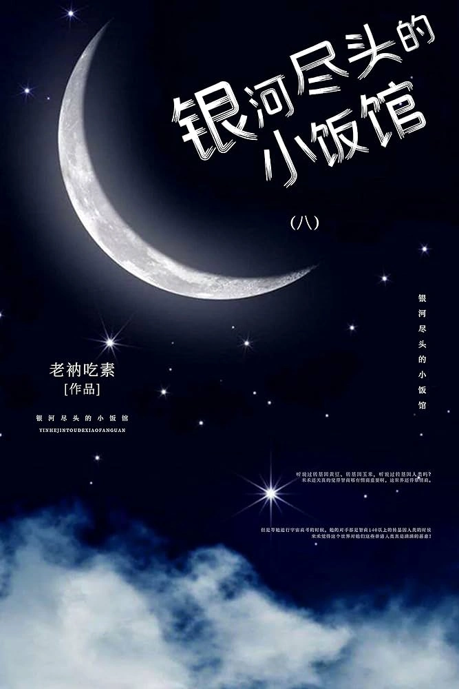 Novel cover image
