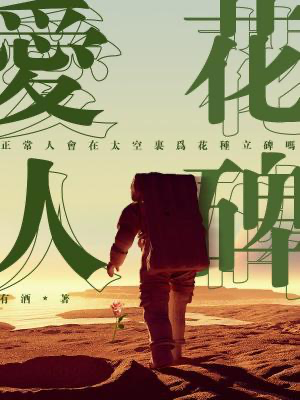Novel cover image