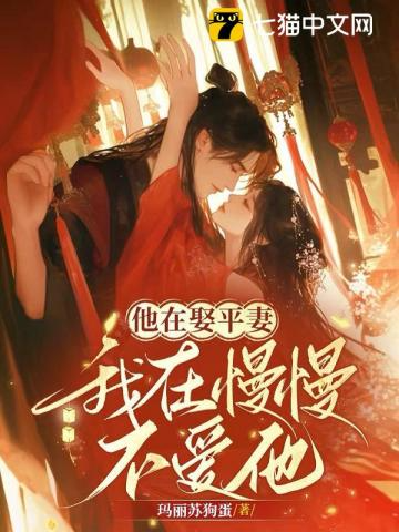 Novel cover image