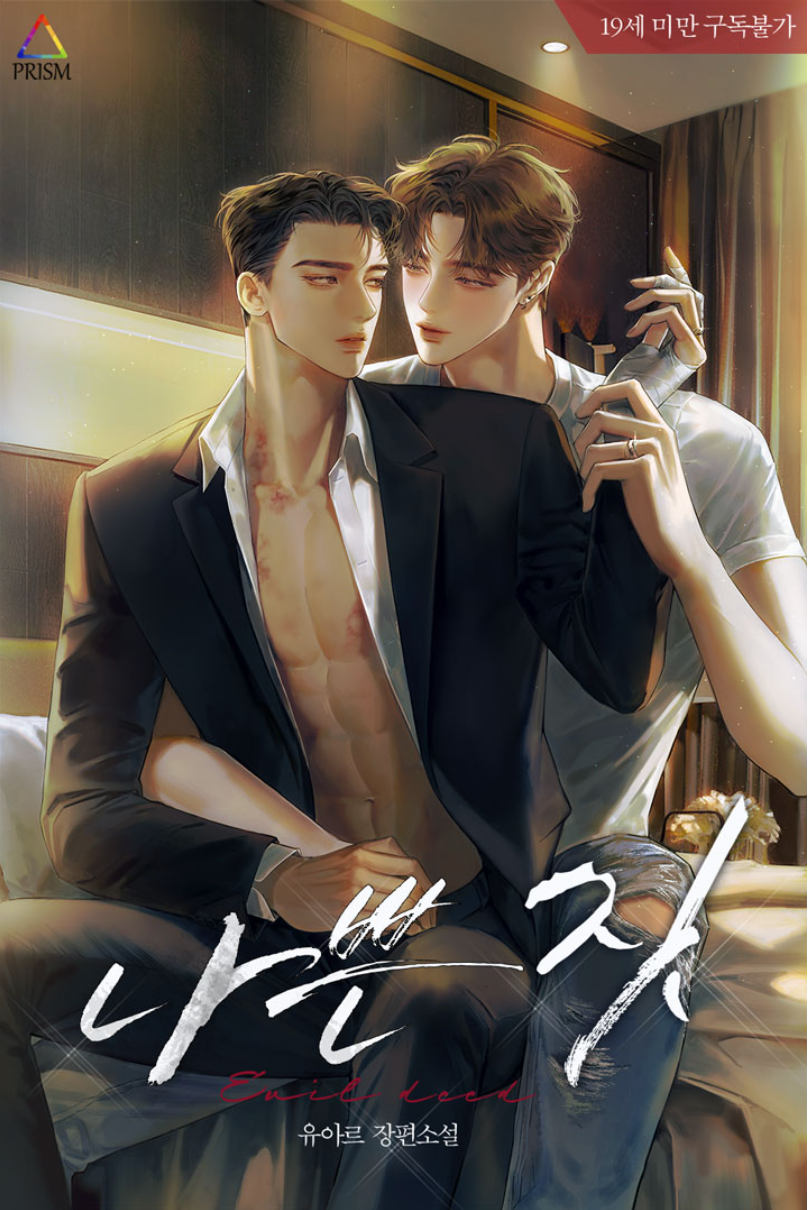 Novel cover image