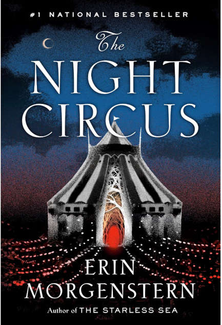 Novel cover image