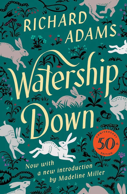 Novel cover image