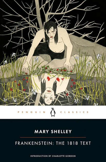 Novel cover image