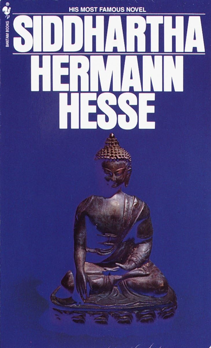 Novel cover image
