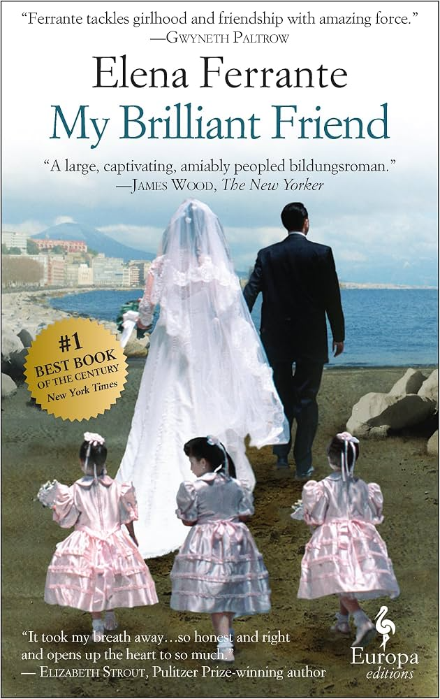 Novel cover image